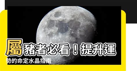 屬豬適合的樓層|【屬豬坐向】屬豬座向樓層超神準！住對吉房旺到翻！